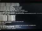 kernel panic.webp