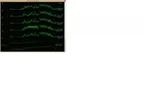 Immagine4.webp