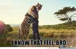 i-know-that-feel-bro_c_513528.webp i-know-that-feel-bro_c_513528.webp