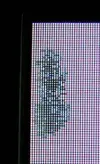 03.webp
