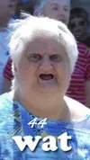 Wat-Meme-Old-Lady-01.webp