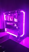 Fucsia.webp