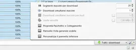 Cattura.webp