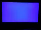 Blu.webp