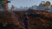 witcher3_2017_07_04_18_00_54_768.webp