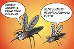 vignetta117.webp