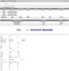 11.webp