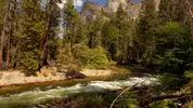 usa-parks-california-yosemite.webp
