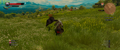 witcher3_2018_09_27_14_00_11_879.png