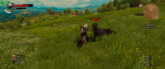 witcher3_2018_09_27_14_00_15_448.png