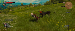 witcher3_2018_09_27_14_00_15_683.png