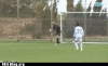 a95cc_epic-fail-fail-nation-invisible-opponent-fail.gif