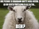 meme-divertente-pecora-immagini-divertenti-che-fanno-ridere-1024x768.webp