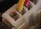 Cattura2.PNG Cattura2.PNG