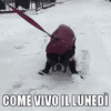 immagini-gif-animate-buon-lunedi-18.gif