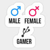 Male Female Gamer.jpg