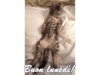 immagini-gif-animate-buon-lunedi-25.gif