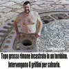 rattosalvini.webp
