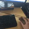 mouse.jpg