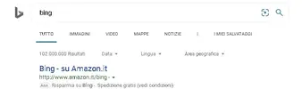 bing.webp