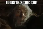 sciocchi.png