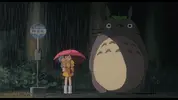 totoro sfondo.webp totoro sfondo.webp