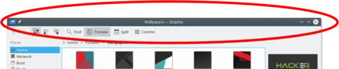 dolphin.webp