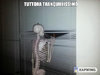 Skeleton_Looks_Out_the_Window_Meme_Maker.jpeg