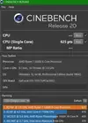 cine single.webp