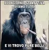 vq6drbe8tv-bestiaccia_a.webp