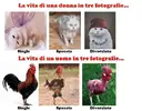 2615-vita-uomo-donna-rappresentata-animali.webp