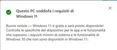 windows 11 ok.jpg