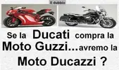 2303-moto-guzzi-ducati-confronto.jpg