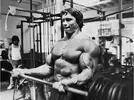 arnold_schwarzenegger_wallpapers_2010_5-1024x768.webp