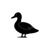 197115245-duck-logo-icon-vector-design-template.jpg
