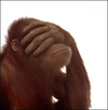 Facepalm+monkey.webp