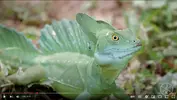 Immagine 2025-02-03 231154.webp Immagine 2025-02-03 231154.webp