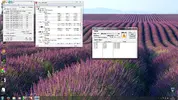 Screenshot 5 run ibt.webp