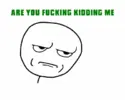 are-you-fucking-kidding-me.webp