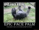 monkey epic facepalm.webp