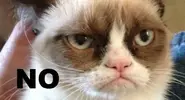 Grumpy-Cat-Says-No.webp