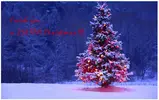 zultan christmas 2.webp