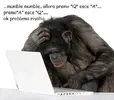 11thinking+monkey+small.webp