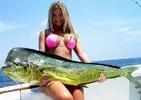 girl-fish.webp