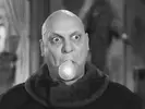 fester.jpg