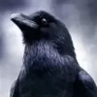 lithium_crow