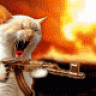 GattoMatto95