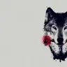 WolfMind