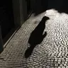 Shadow77