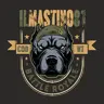 ilmastino